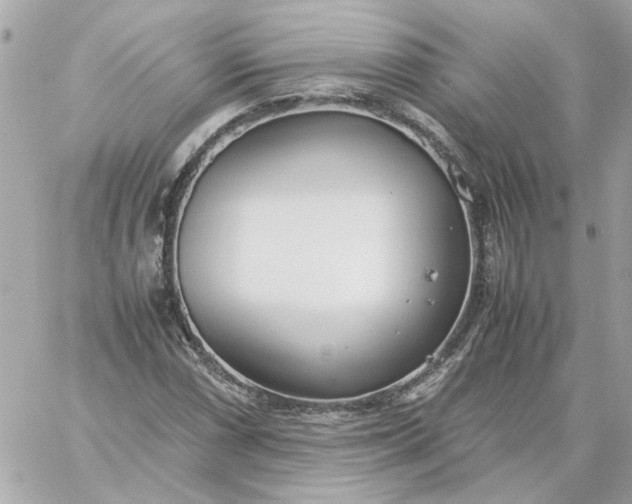 X0000060261066200511112015