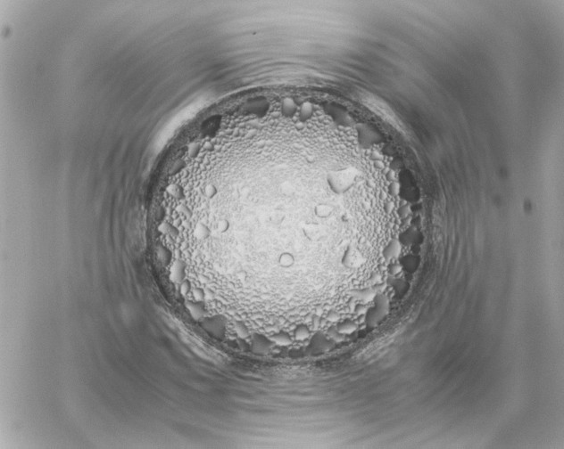 X0000060261067200511112015