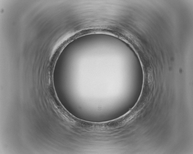 X0000060261069200511112015