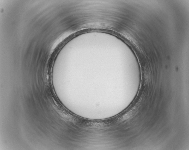 X0000060261070200511112015