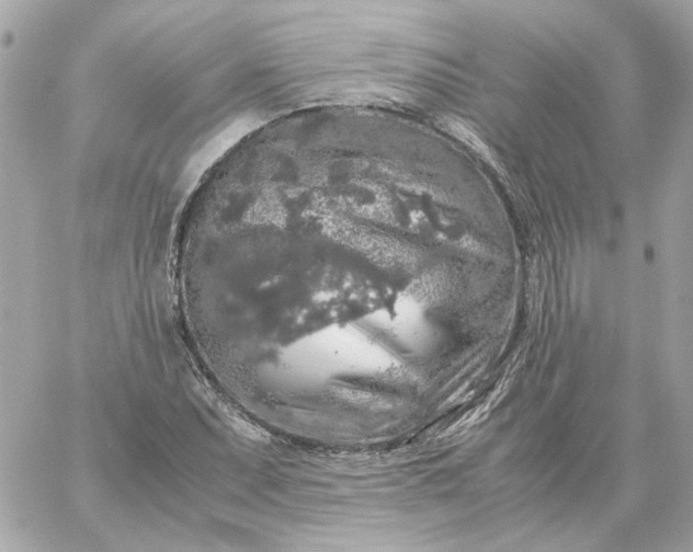 X0000060261071200511112015