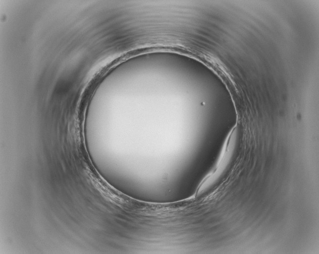 X0000060261072200511112015