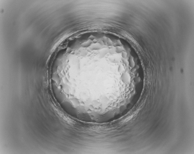 X0000060261075200511112015