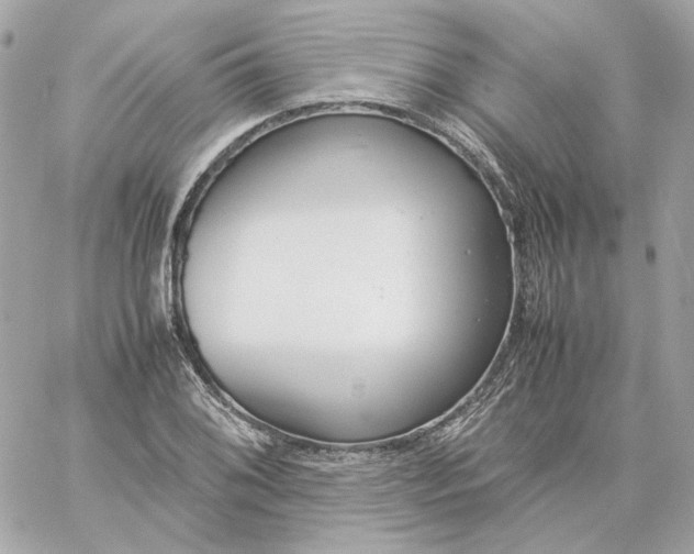 X0000060261076200511112015