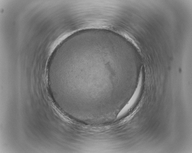 X0000060261077200511112015