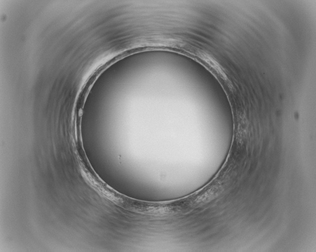 X0000060261080200511112015