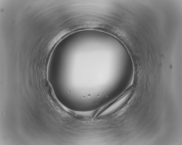 X0000060261081200511112015