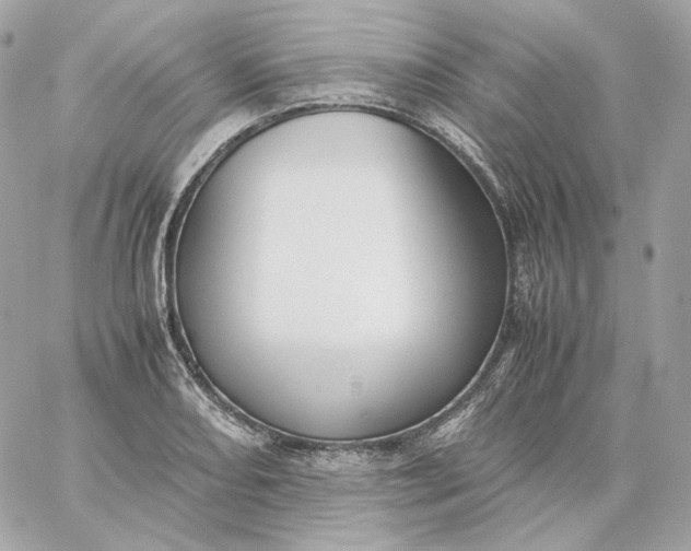 X0000060261082200511112015