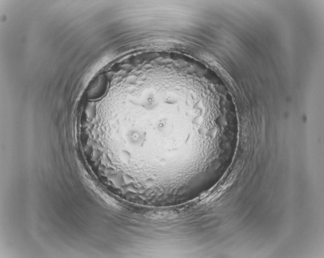 X0000060261083200511112015