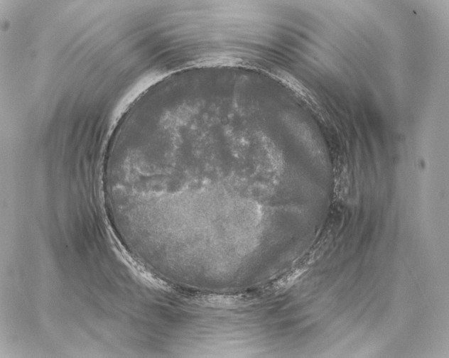 X0000060261086200511112015