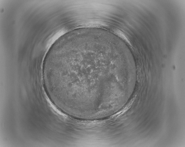 X0000060261087200511112015