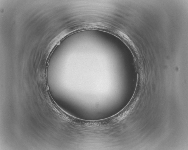 X0000060261089200511112015