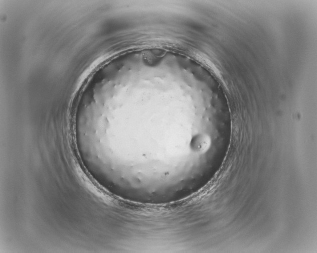 X0000060261091200511112015