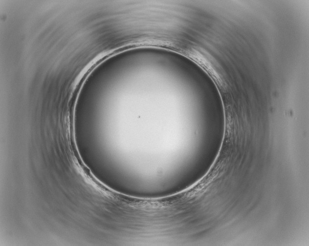 X0000060261092200511112015