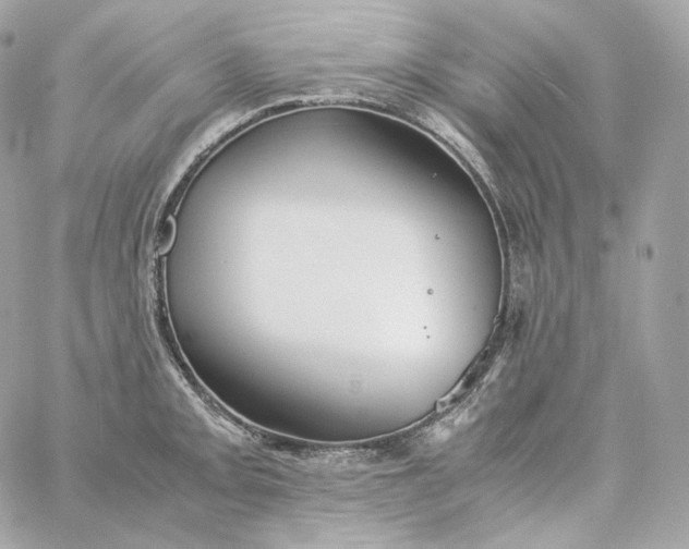 X0000060261093200511112015