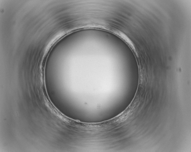 X0000060261096200511112015