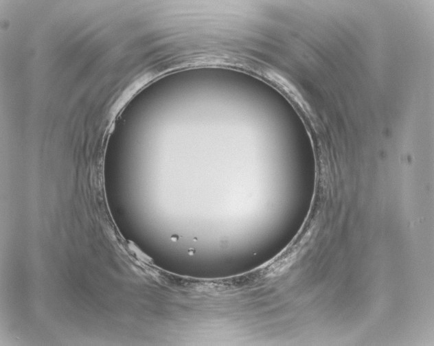 X0000060261097200511112015