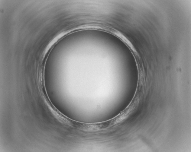 X0000060261101200511112014