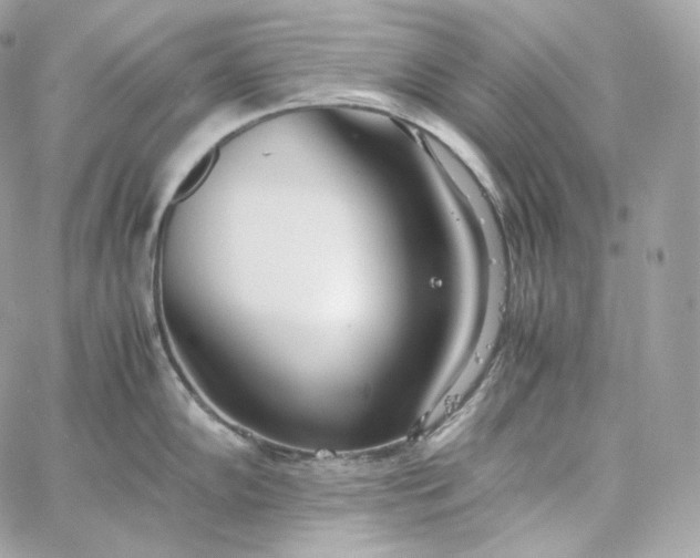 X0000060261102200511112014