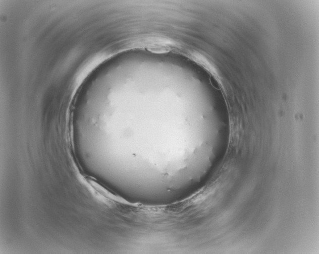 X0000060261103200511112014