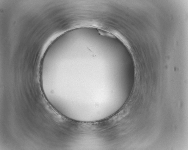 X0000060261104200511112014