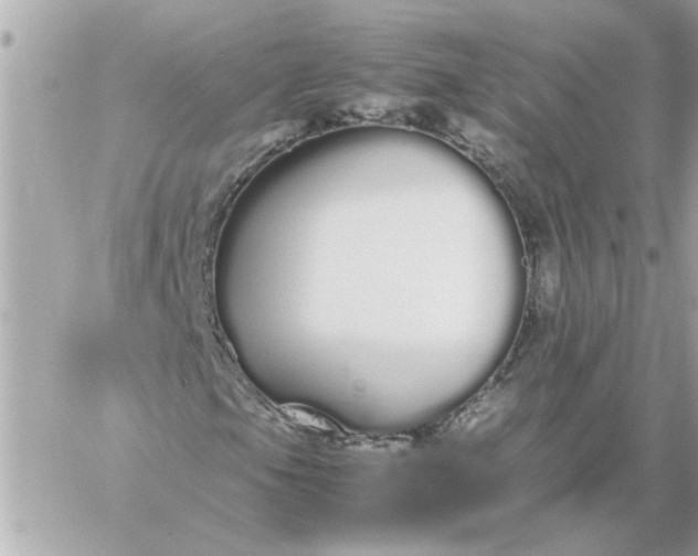 X0000060261105200511112014