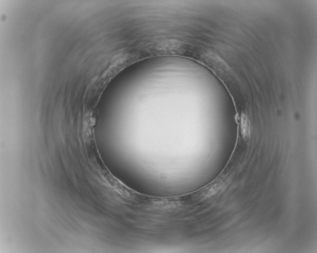 X0000060261107200511112014