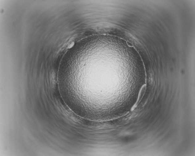 X0000060261108200511112014