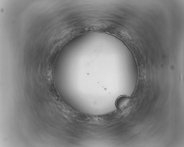 X0000060261109200511112014