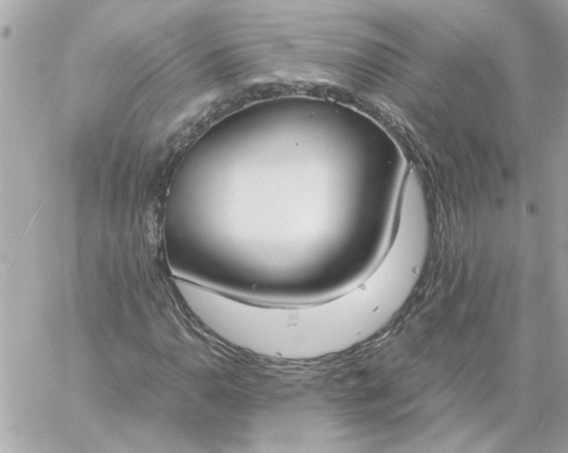 X0000060261110200511112014