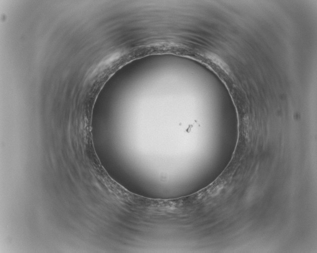 X0000060261111200511112014