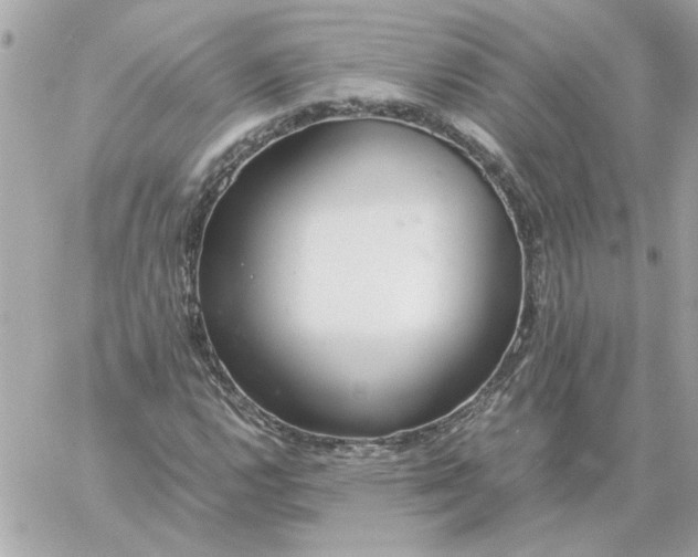 X0000060261112200511112014