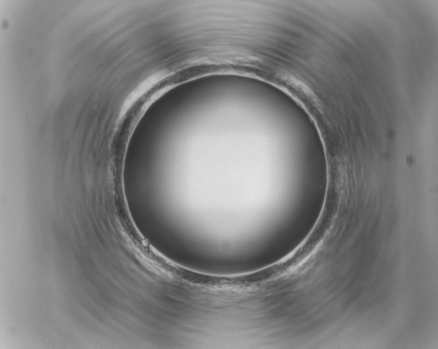 X0000060261114200511112014