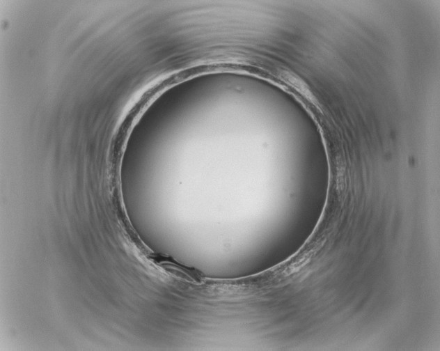 X0000060261116200511112014