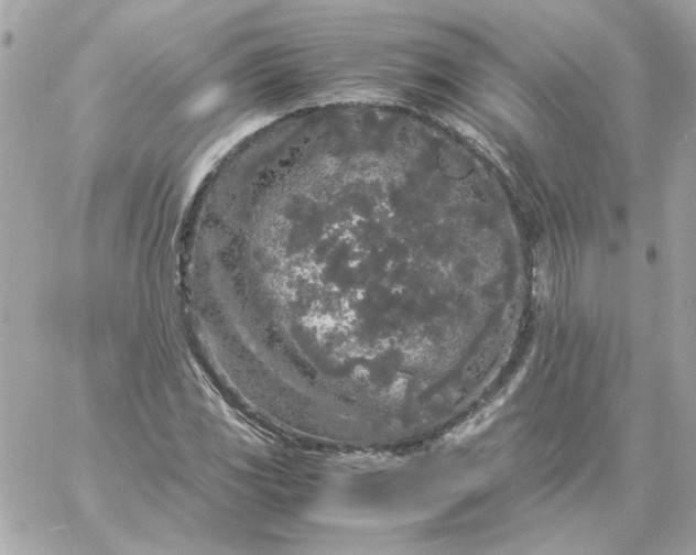 X0000060261117200511112014