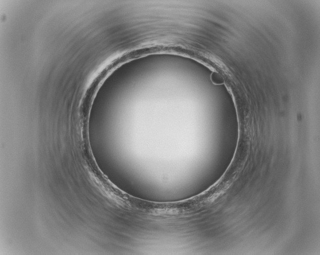 X0000060261118200511112014