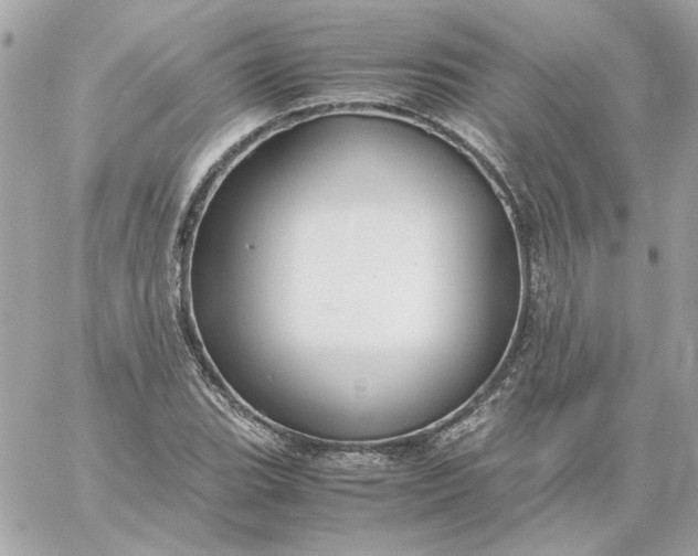 X0000060261119200511112014