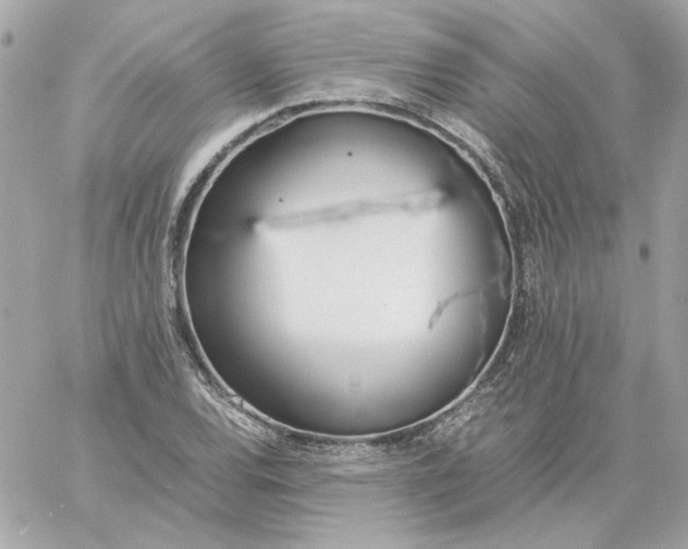 X0000060261120200511112014