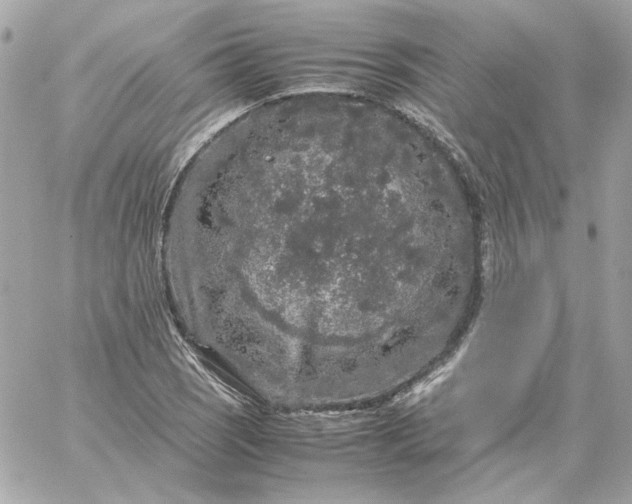 X0000060261121200511112014