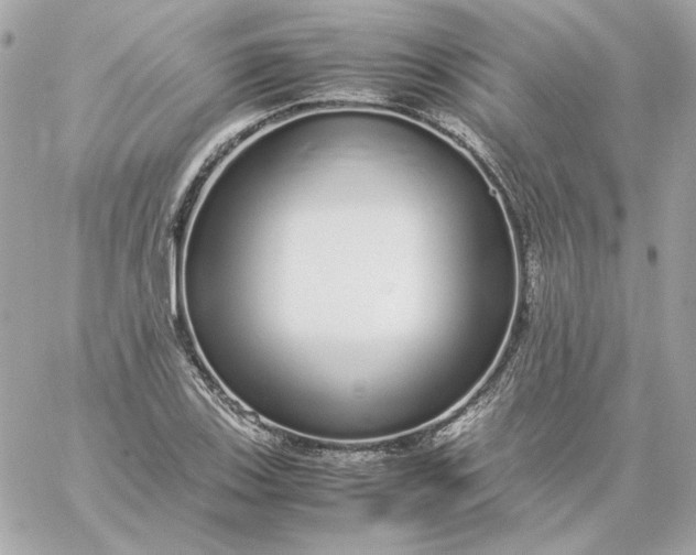 X0000060261123200511112014