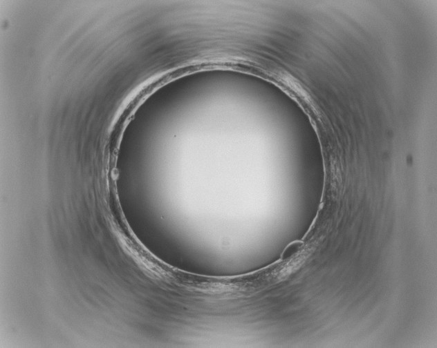 X0000060261124200511112014