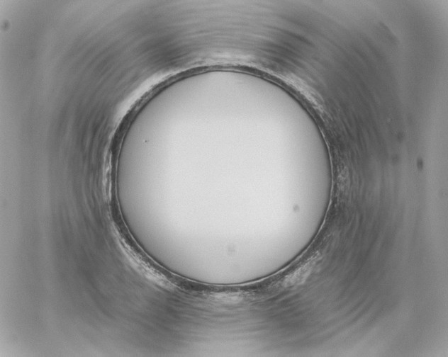 X0000060261126200511112014