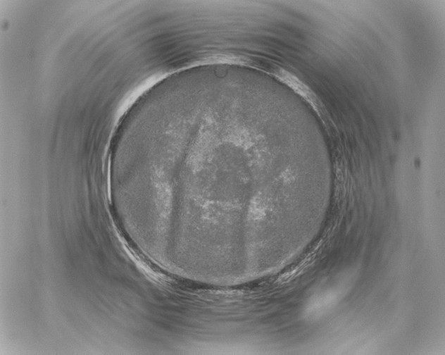 X0000060261127200511112014