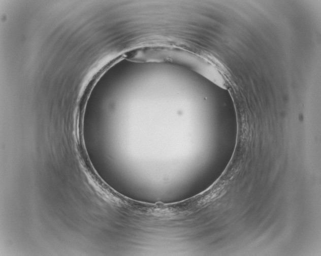 X0000060261128200511112014