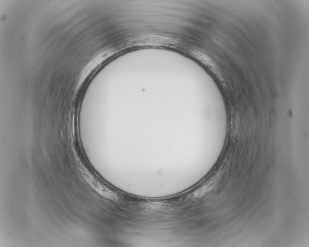 X0000060261130200511112014