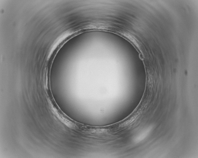 X0000060261131200511112014