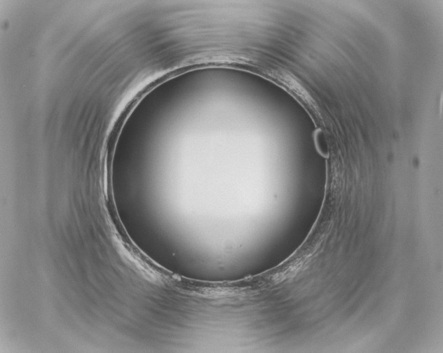 X0000060261132200511112014