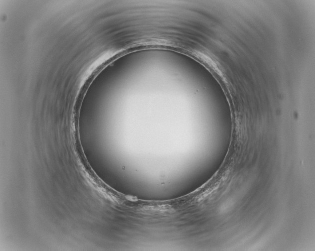 X0000060261133200511112014