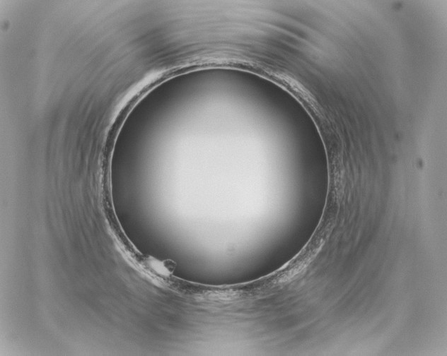 X0000060261134200511112014