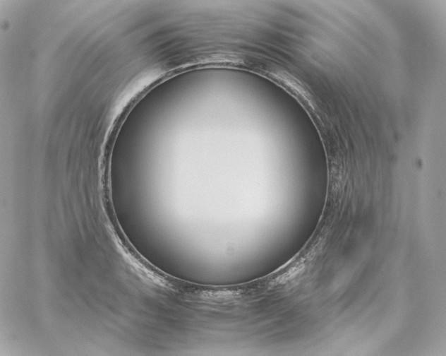 X0000060261135200511112014